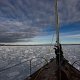 ANTARCTICA FOTO DARIO FERRO COPYRIGHT MIKE HORN (6)